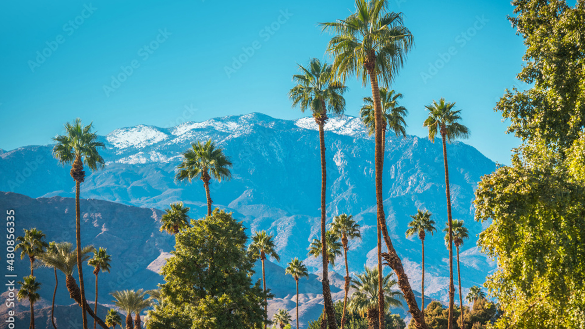 Le meilleur moment pour visiter Palm Springs